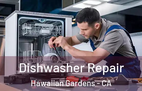  Dishwasher Repair Hawaiian Gardens - CA