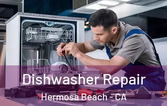  Dishwasher Repair Hermosa Beach - CA