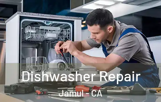  Dishwasher Repair Jamul - CA