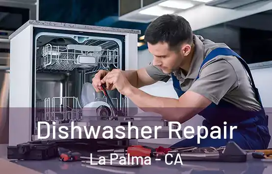  Dishwasher Repair La Palma - CA