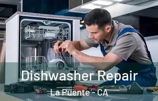  Dishwasher Repair La Puente - CA