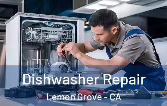  Dishwasher Repair Lemon Grove - CA