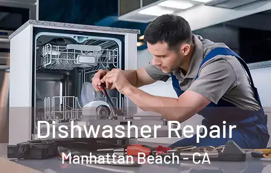  Dishwasher Repair Manhattan Beach - CA