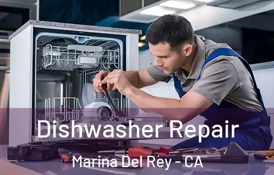  Dishwasher Repair Marina Del Rey - CA