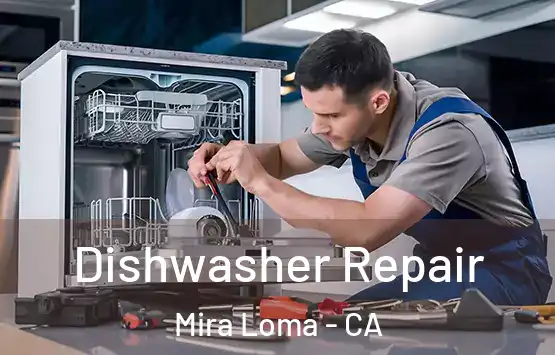  Dishwasher Repair Mira Loma - CA
