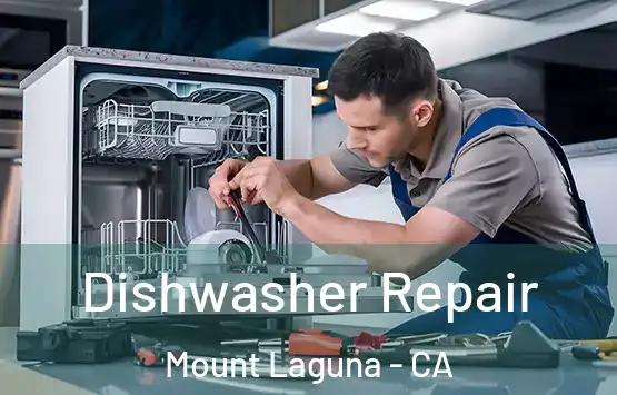  Dishwasher Repair Mount Laguna - CA