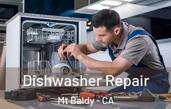  Dishwasher Repair Mt Baldy - CA