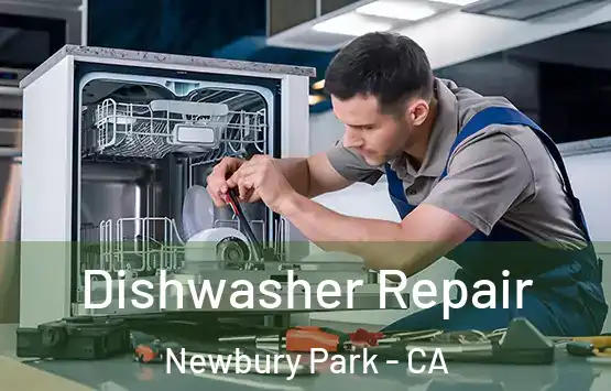  Dishwasher Repair Newbury Park - CA
