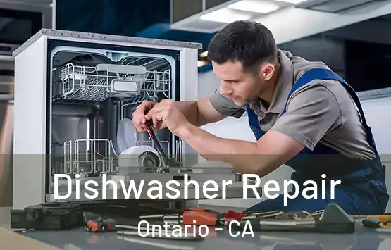  Dishwasher Repair Ontario - CA