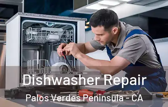  Dishwasher Repair Palos Verdes Peninsula - CA