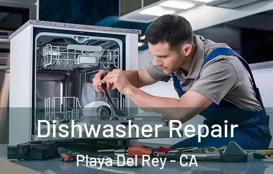  Dishwasher Repair Playa Del Rey - CA