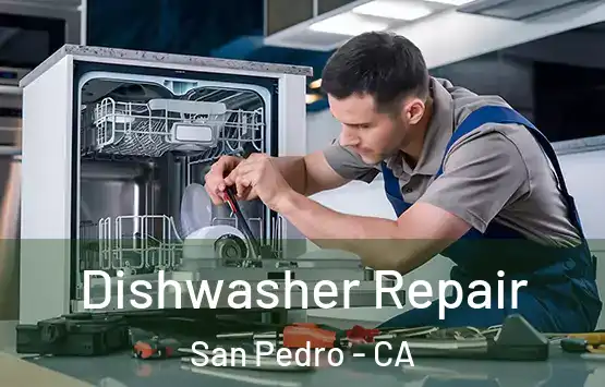  Dishwasher Repair San Pedro - CA