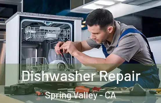  Dishwasher Repair Spring Valley - CA