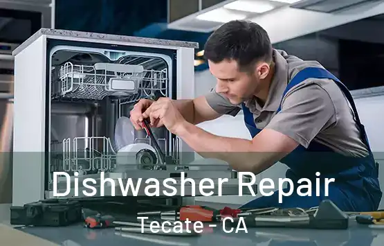  Dishwasher Repair Tecate - CA