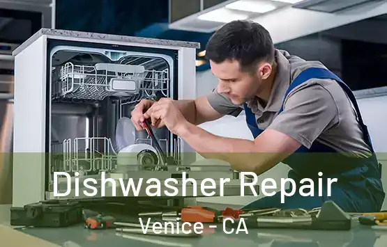  Dishwasher Repair Venice - CA