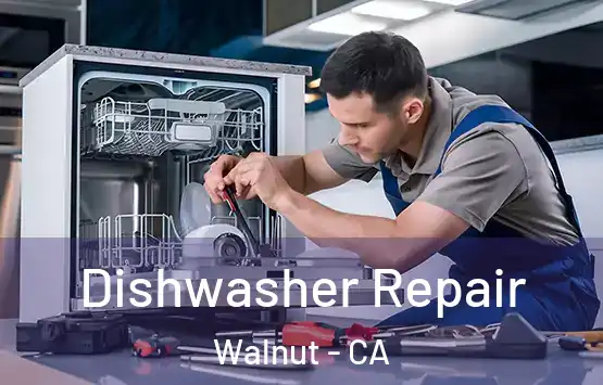  Dishwasher Repair Walnut - CA