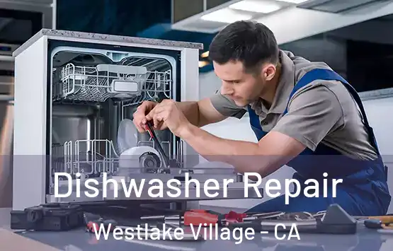  Dishwasher Repair Westlake Village - CA