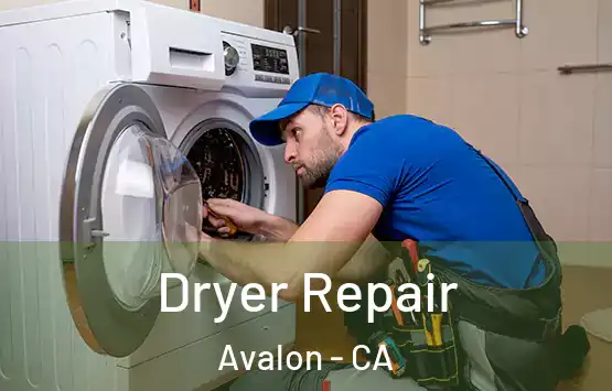  Dryer Repair Avalon - CA