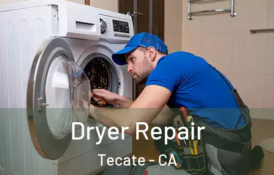  Dryer Repair Tecate - CA