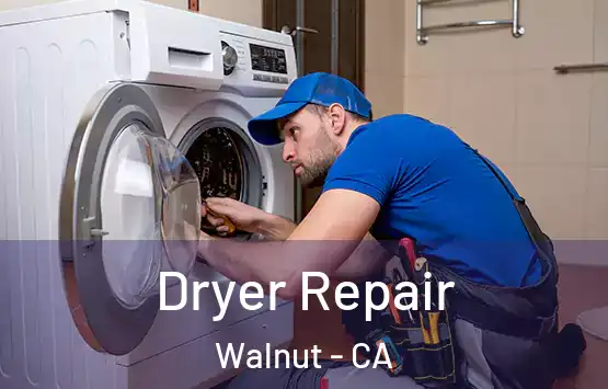  Dryer Repair Walnut - CA