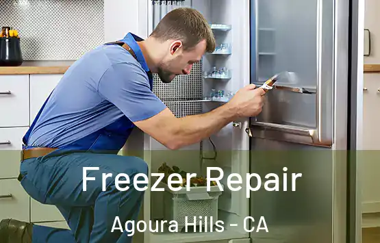  Freezer Repair Agoura Hills - CA