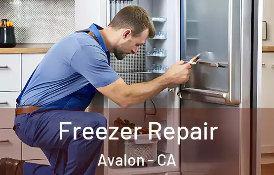  Freezer Repair Avalon - CA