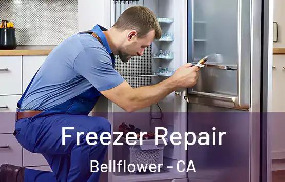  Freezer Repair Bellflower - CA