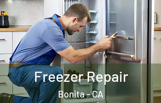  Freezer Repair Bonita - CA