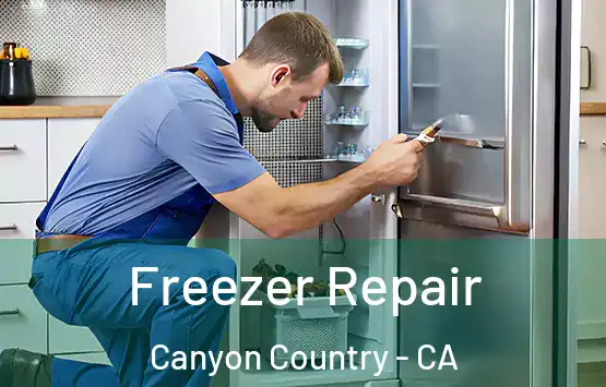  Freezer Repair Canyon Country - CA