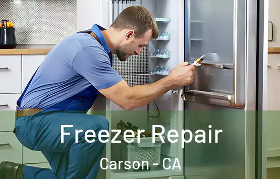  Freezer Repair Carson - CA