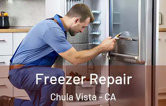  Freezer Repair Chula Vista - CA