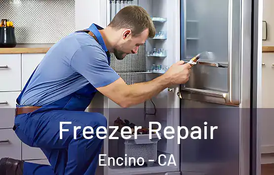  Freezer Repair Encino - CA