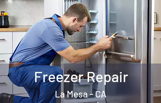  Freezer Repair La Mesa - CA