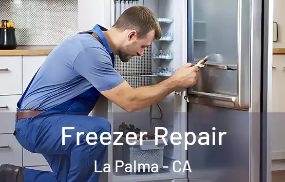  Freezer Repair La Palma - CA