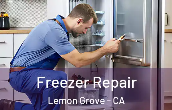  Freezer Repair Lemon Grove - CA