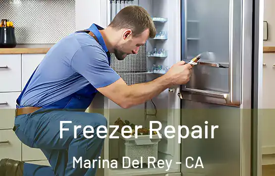  Freezer Repair Marina Del Rey - CA