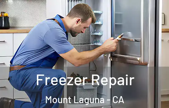  Freezer Repair Mount Laguna - CA