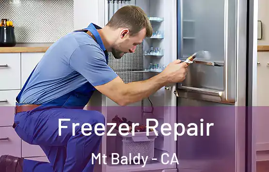  Freezer Repair Mt Baldy - CA