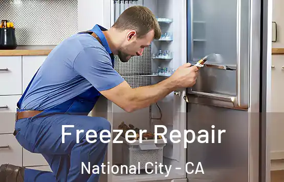  Freezer Repair National City - CA