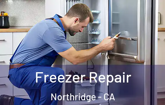  Freezer Repair Northridge - CA