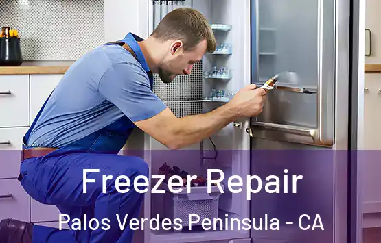  Freezer Repair Palos Verdes Peninsula - CA