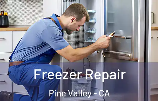  Freezer Repair Pine Valley - CA