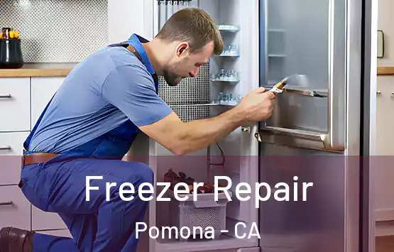  Freezer Repair Pomona - CA