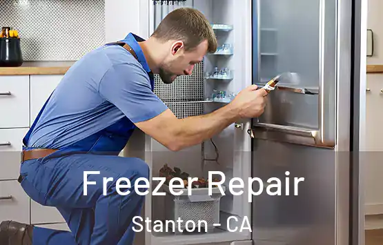  Freezer Repair Stanton - CA
