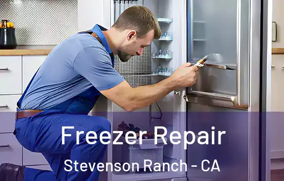  Freezer Repair Stevenson Ranch - CA