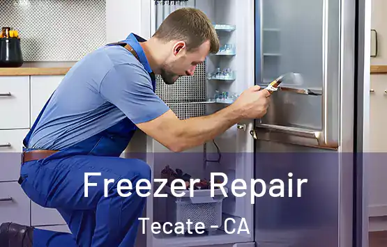  Freezer Repair Tecate - CA