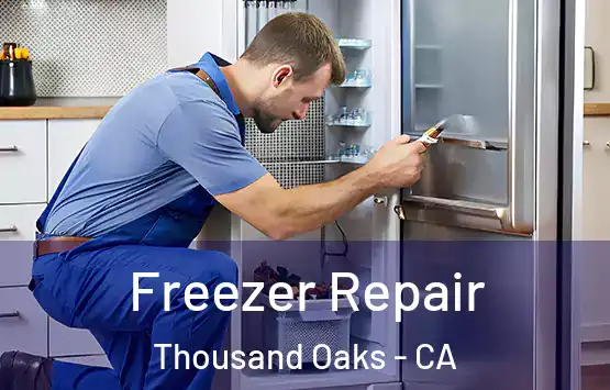  Freezer Repair Thousand Oaks - CA