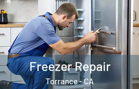  Freezer Repair Torrance - CA