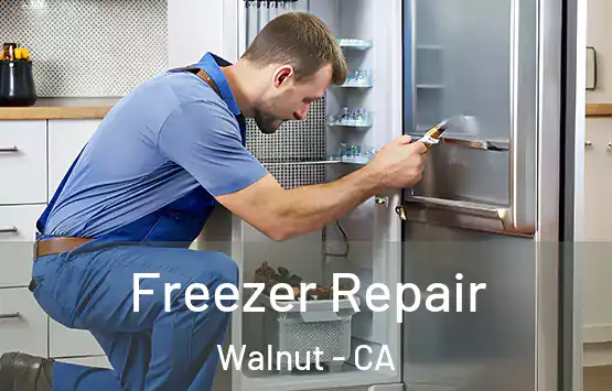  Freezer Repair Walnut - CA