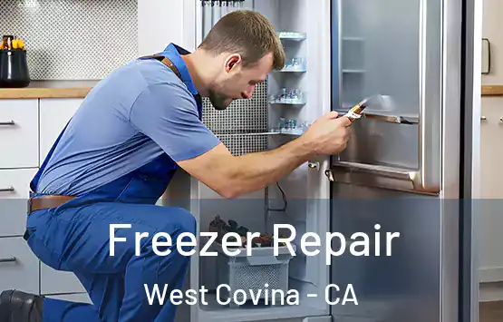  Freezer Repair West Covina - CA